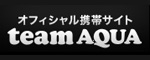 �I�t�B�V�����g�уT�C�g teamAQUA